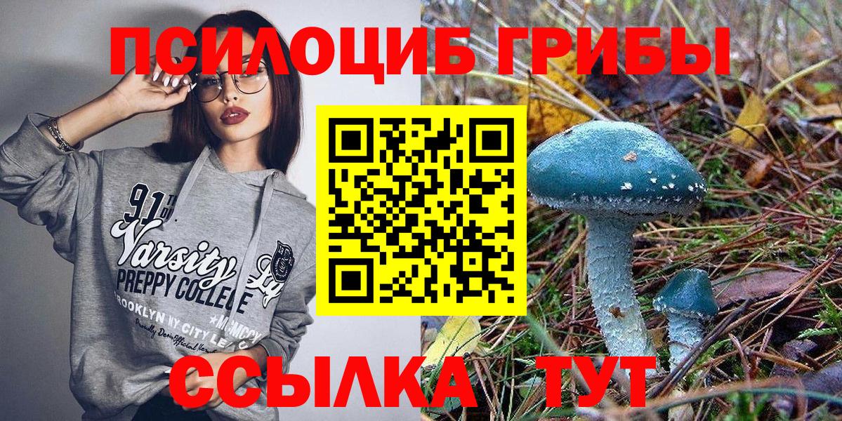 Галлюциногенные грибы Psilocybine cubensis  Вход с VPN  Нефтеюганск  Псилоцибиновые грибы Psilocybe 
