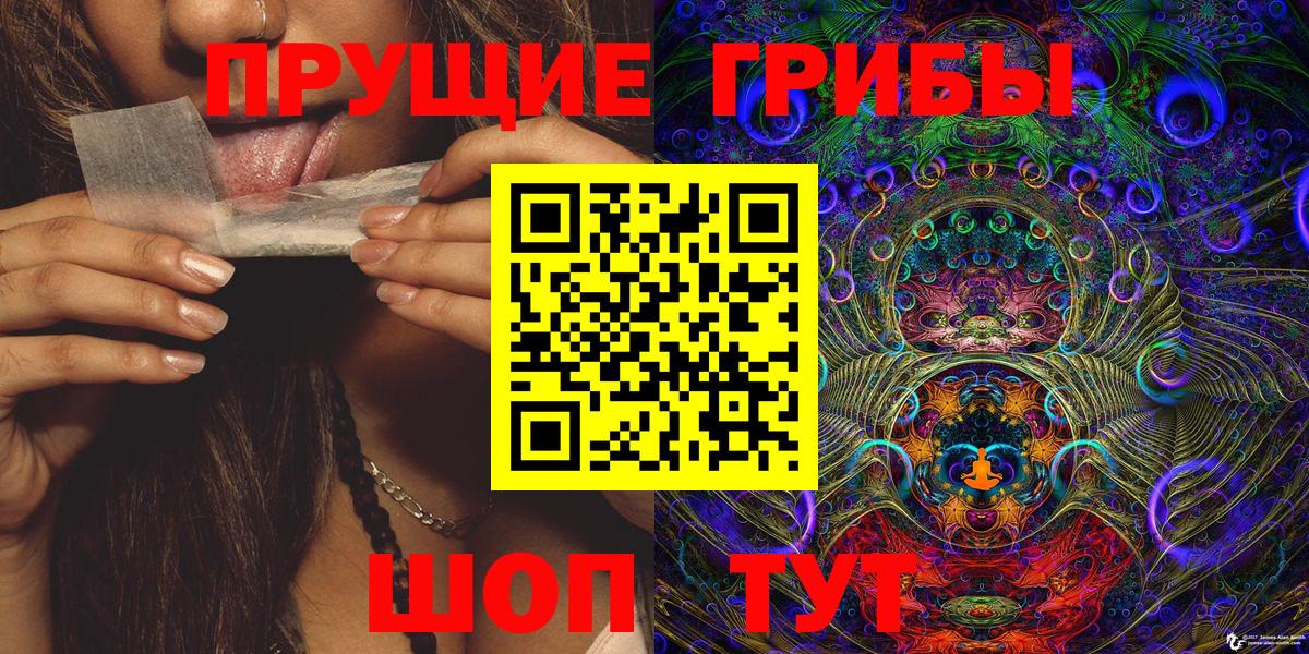 Псилоцибиновые грибы Psilocybine cubensis Нефтеюганск